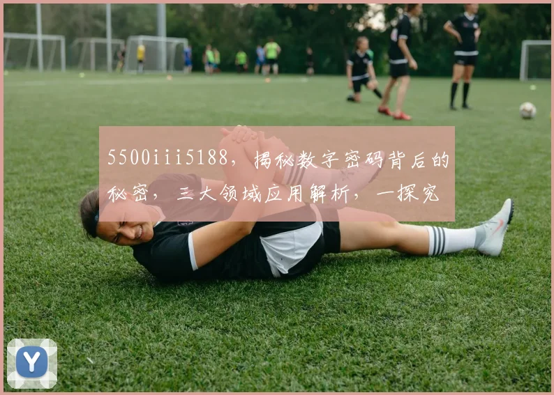 5500iii5188，揭秘数字密码背后的秘密，三大领域应用解析，一探究竟